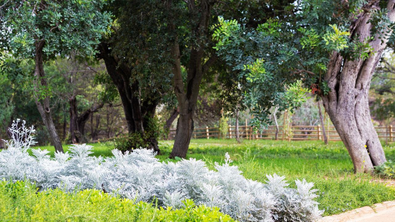 Ozadi Tavira Hotel Εξωτερικό φωτογραφία